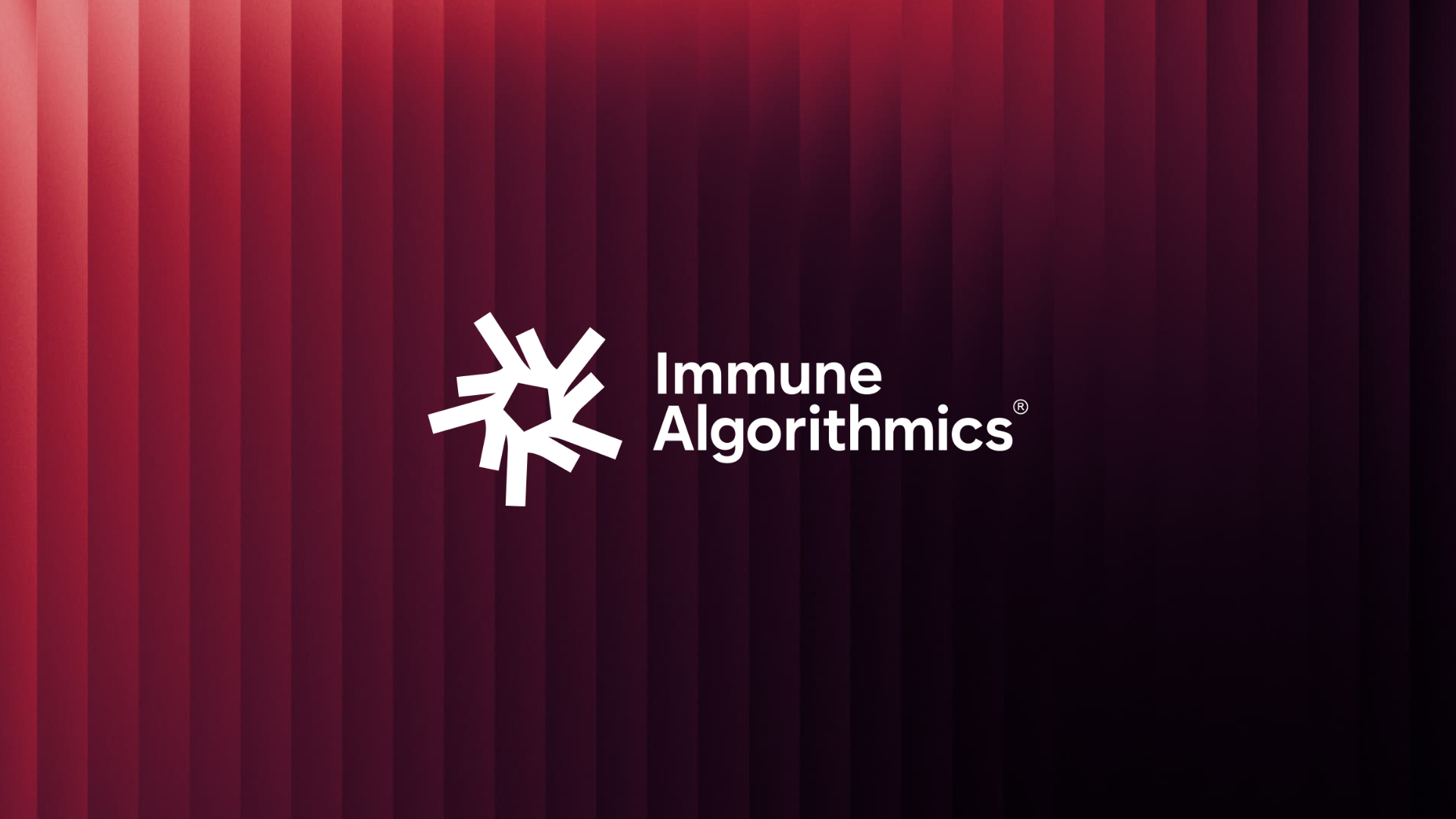Immune Algorithmics